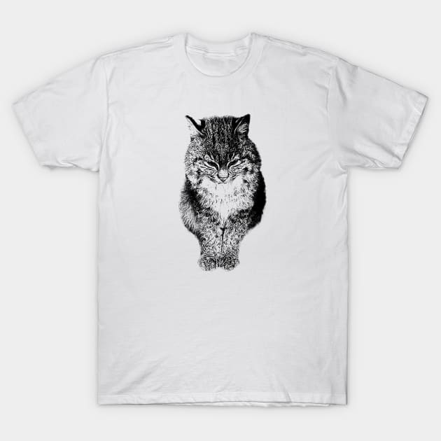 Bobcat T-Shirt by Guardi